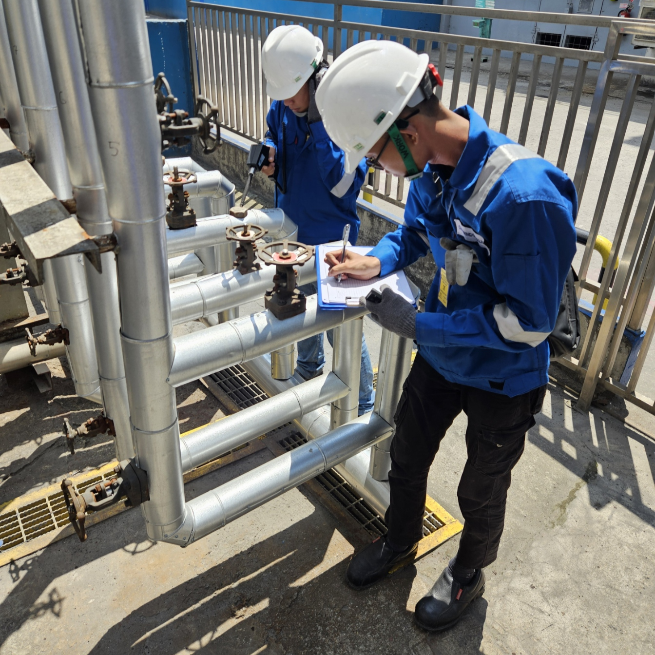 Inspection - Steam Trap Survey 2